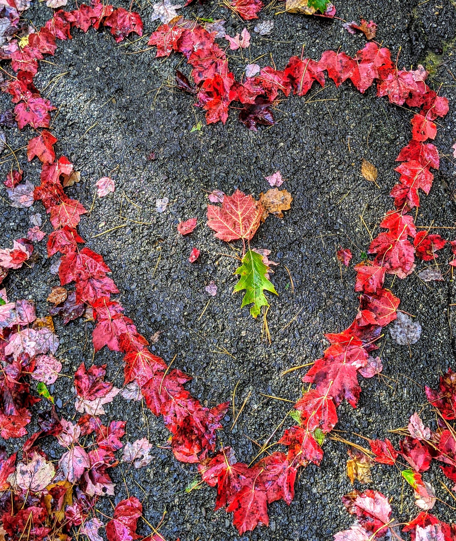 Photo by Steve Johnson(https://www.pexels.com/@steve?utmcontent=attributionCopyText&utmmedium=referral&utmsource=pexels) from…
![